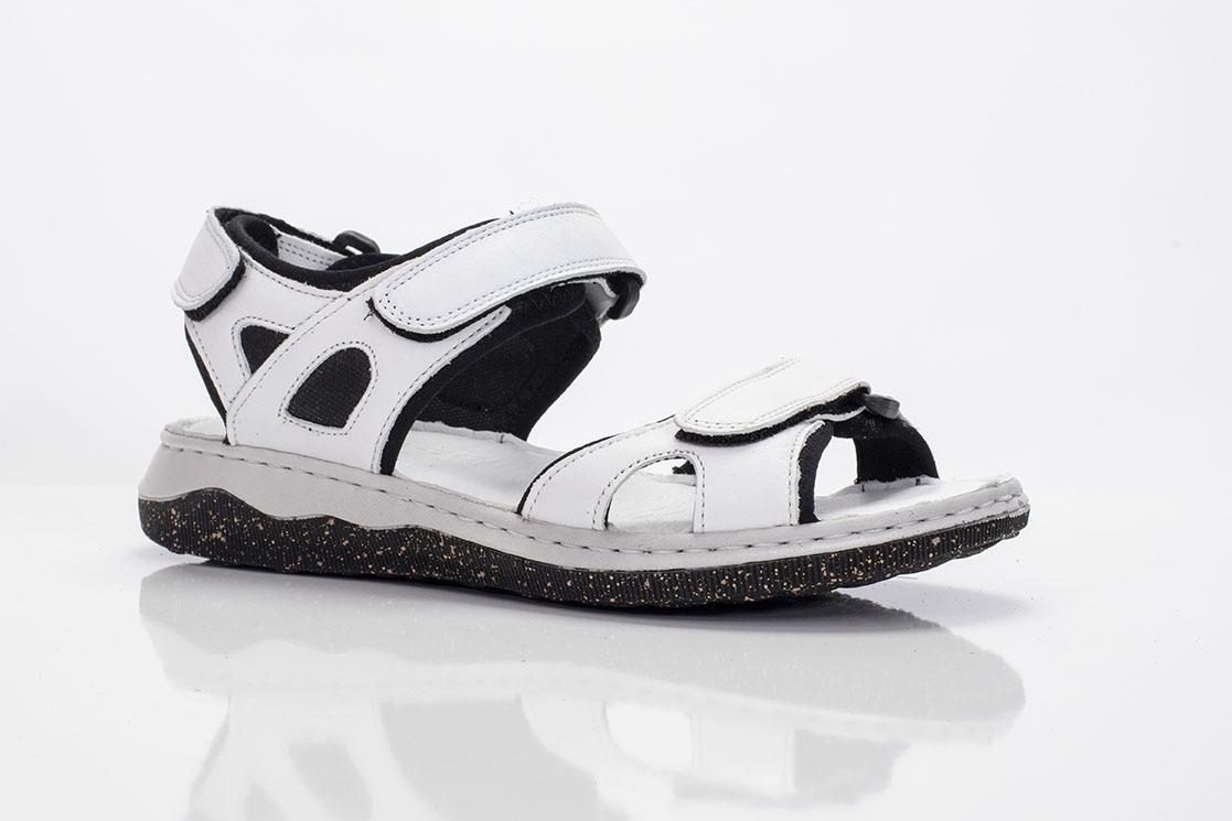 2053 White